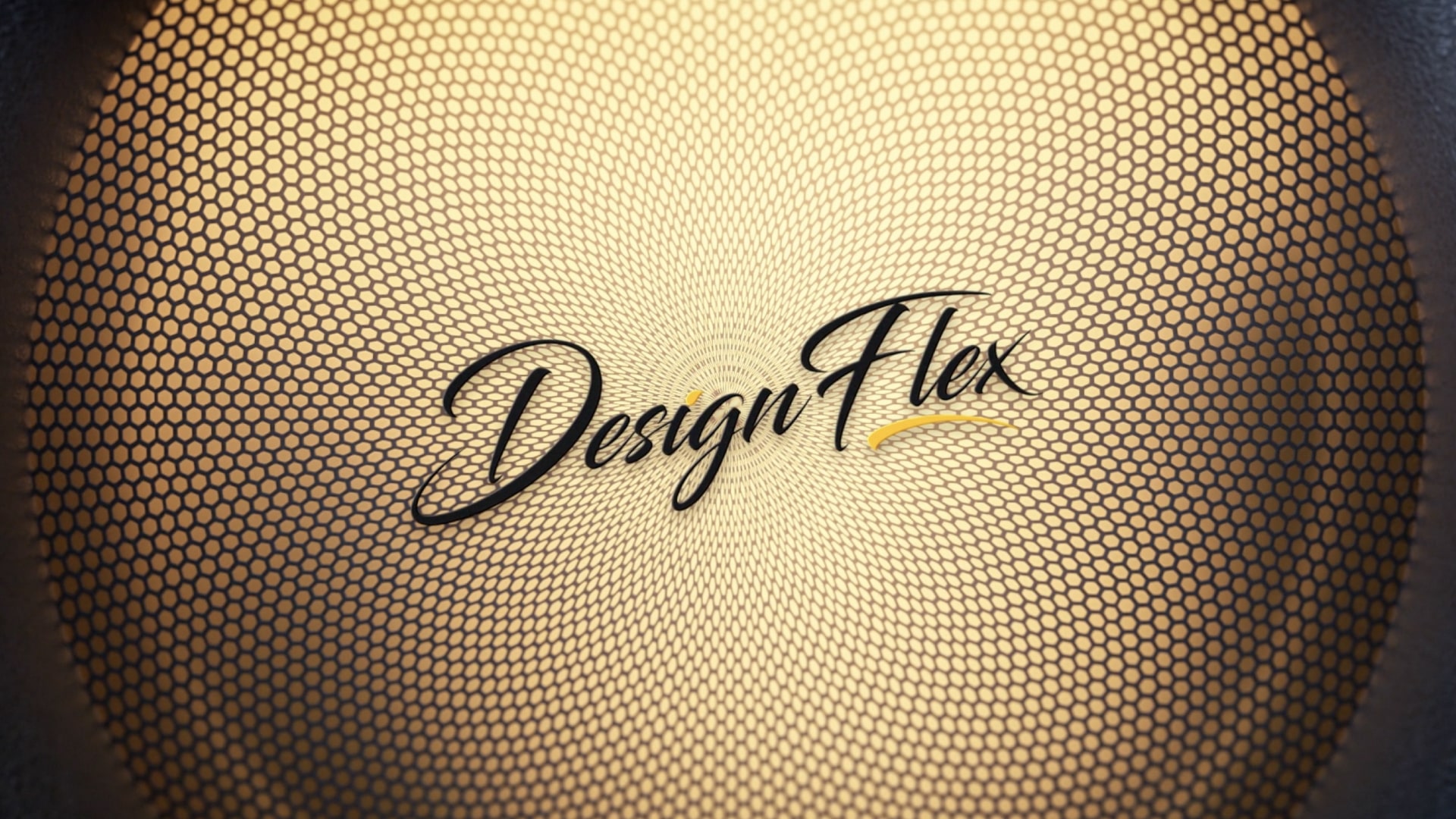 Design Flex Logo Presentation